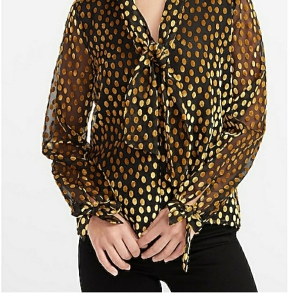 Express Long Sleeve Sheer Lined Gold Velvet Dot Blouse Size Small - Picture 1 of 11